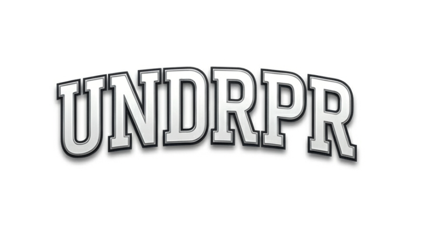 UNDRPR Logo